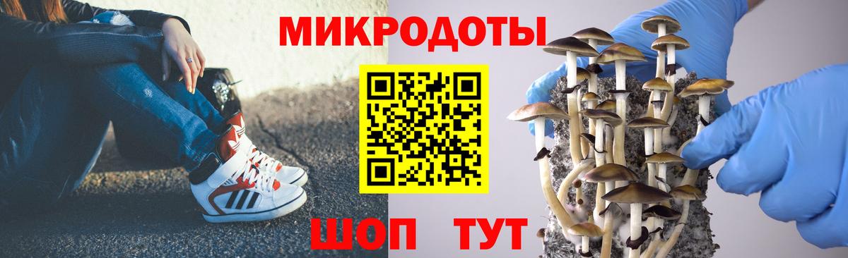 продажа наркотиков  Вход с VPN  Одинцово  Псилоцибиновые грибы Cubensis 